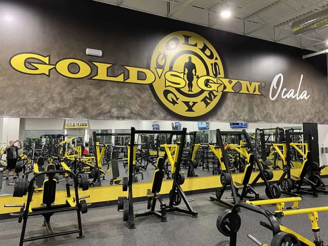 gold-gym-empowering-your-fitness-journey this blog is very informative and imaginative relevant to aptness about gold gym.